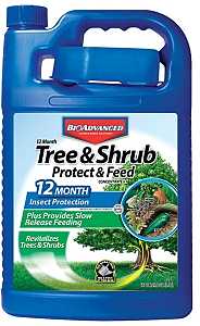 Tree & Shrub Concentrate Bayer - 1 Gallon - #6889