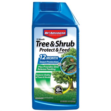12 Month Tree & Shrub Concentrate BioAdvanced - Protect and Feed - 32 oz