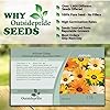 Seeds Annual African Daisy Flower Mix - 5000 Seed Count