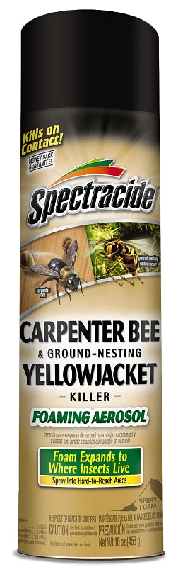 Carpenter Bee & Yellowjacket Killer - Foaming Aerosol - 16 oz - #28487