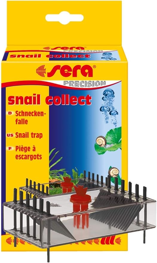 Snail Collect - Sera - #31566