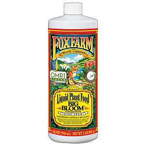Plant Food Big Bloom - 1 Quart - #10504