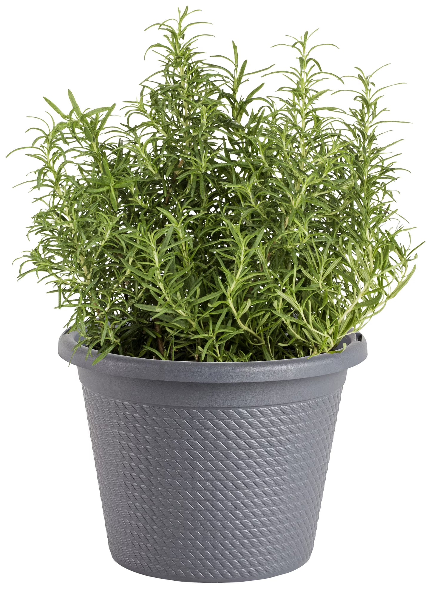 Bonnie 11" Herb Pot - 2.09 Gallon - #32392