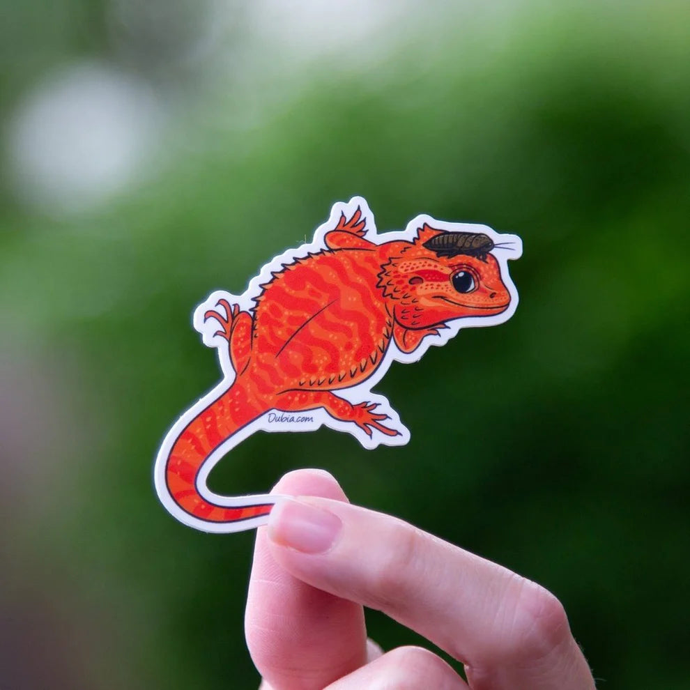 Sticker Beardie - Top View - Yellow - Orange - Red - #30486