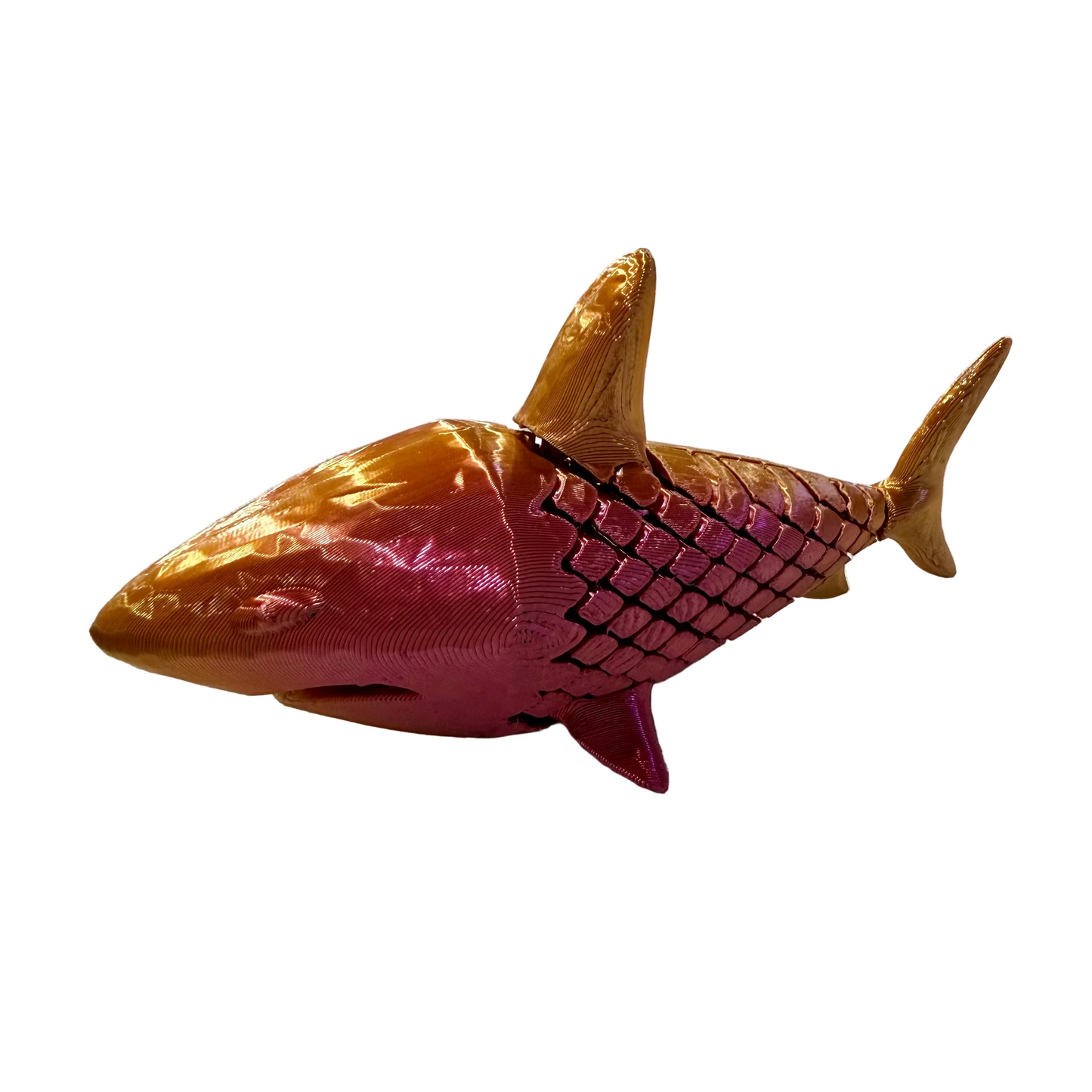 3D Shark - Large - #32927