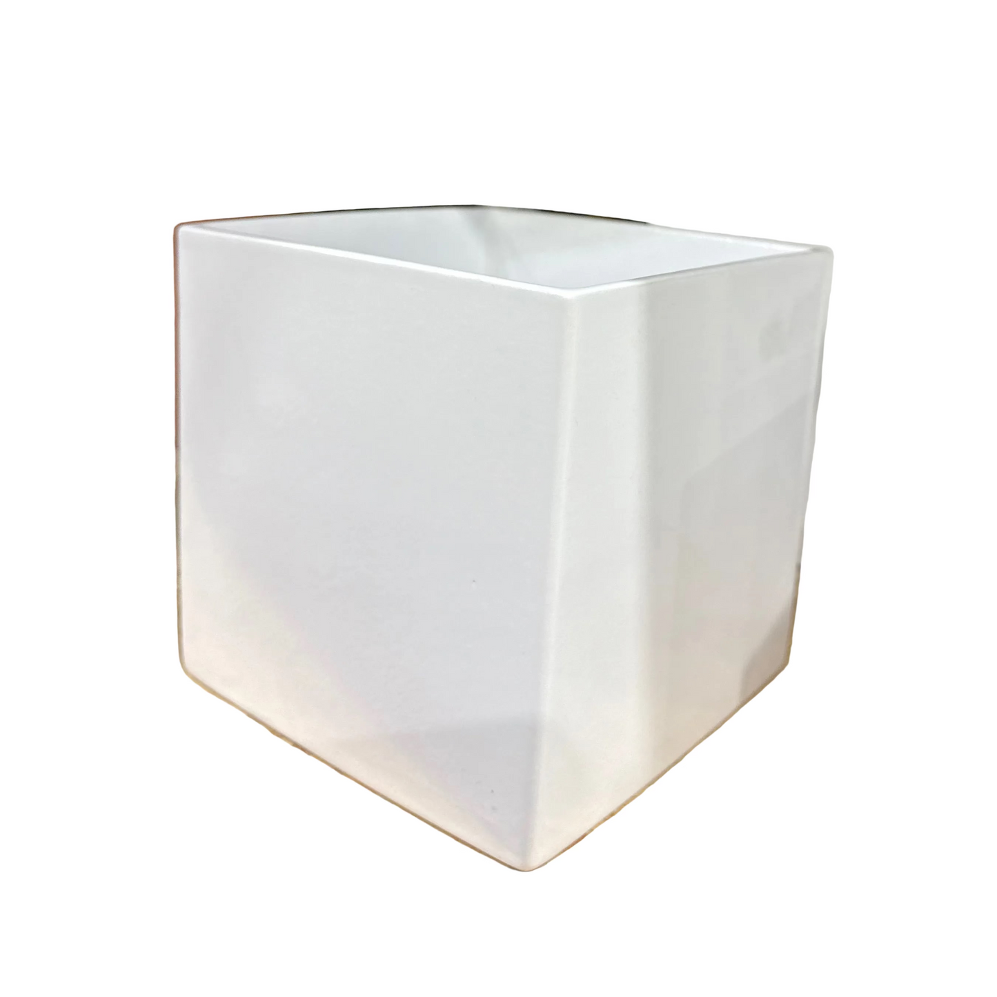 Latina Planter Pot - White - 5.1" - #29353