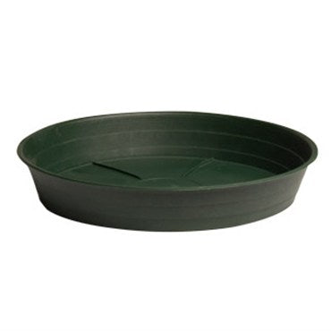 Saucer Premium Green - 12" - #20577