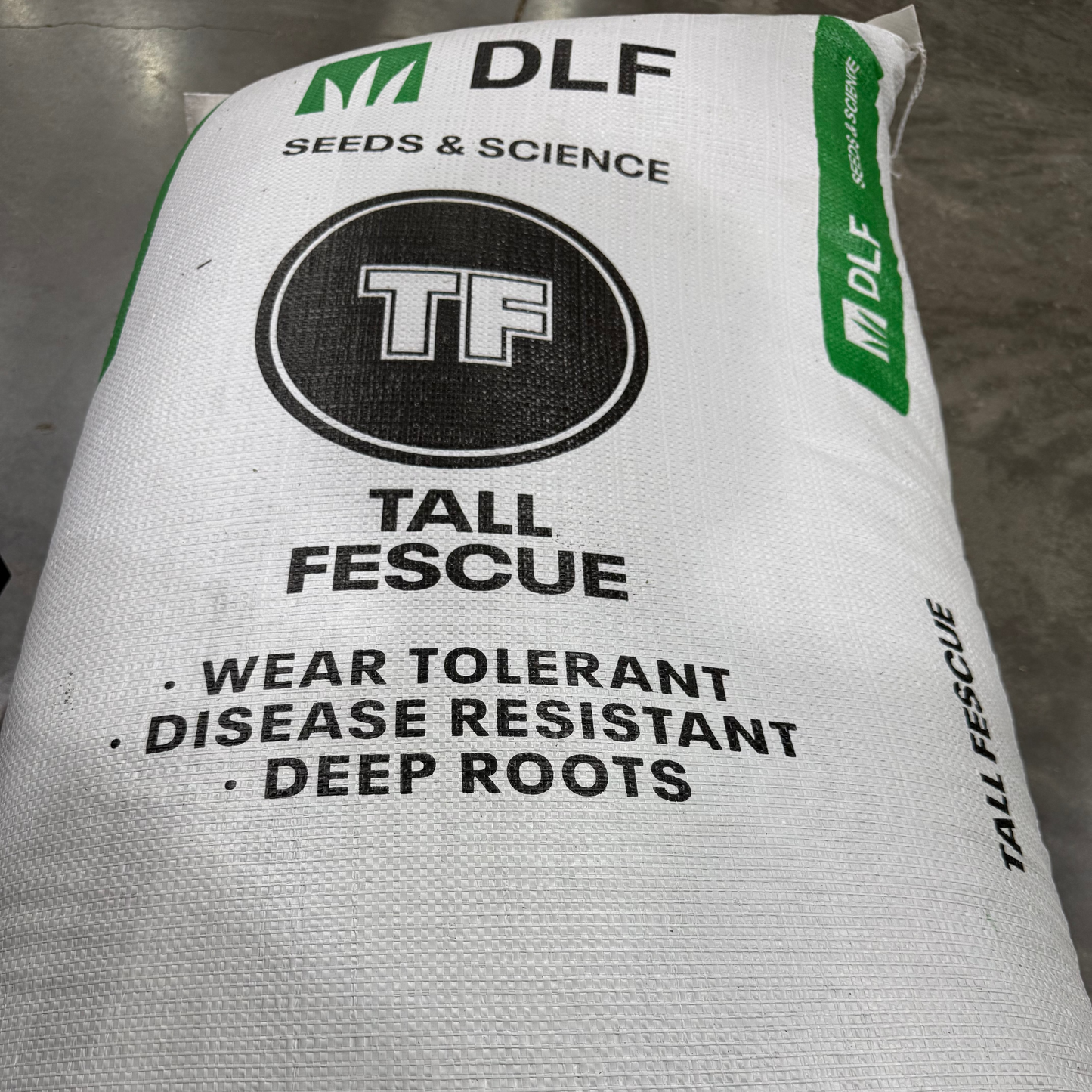 Grass Seed Tall Fescue - Per Pound or 50 Lb Bag - 1 Pound Covers 100 Sq Ft - #9985
