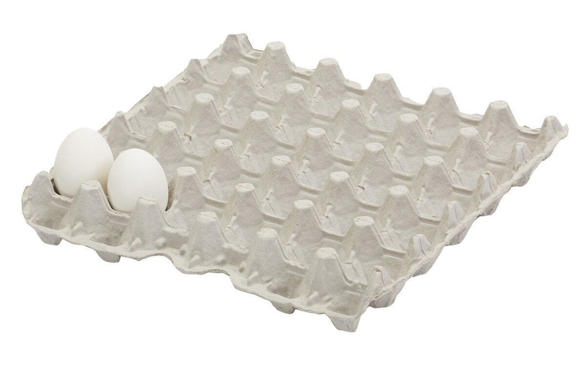 Egg Flat 5x6 - Each - #32576