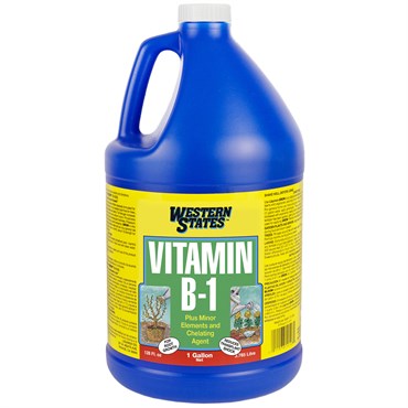 Liquinox Vitamin B-1 - 1 Gallon - #1066