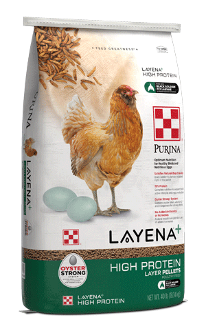 Poultry Feed Layena Plus High Protein Layer Pellets - 40 Lbs - #30829