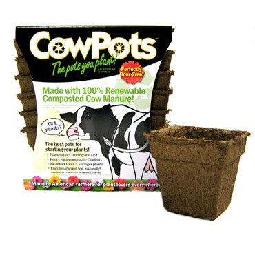 Pot Cow - 4" - #7130