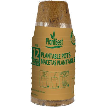 Coconut Coir Fiber 2.5" Pots - 12 Pack - #29841