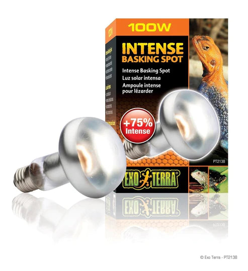 Lamp Intense Basking Spot - Exo Terra - 100 watt - #31080