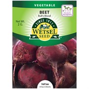 Seeds Bull's Blood Beet - 2 Grams