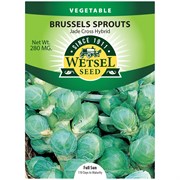 Seeds Brussels Sprouts Jade Cross Hybrid - Wetsel - 280 MG - #3252