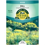 Seeds Dill Long Island - 1.35 Grams