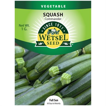 Seeds Squash Commander - 1 Gram - #30912
