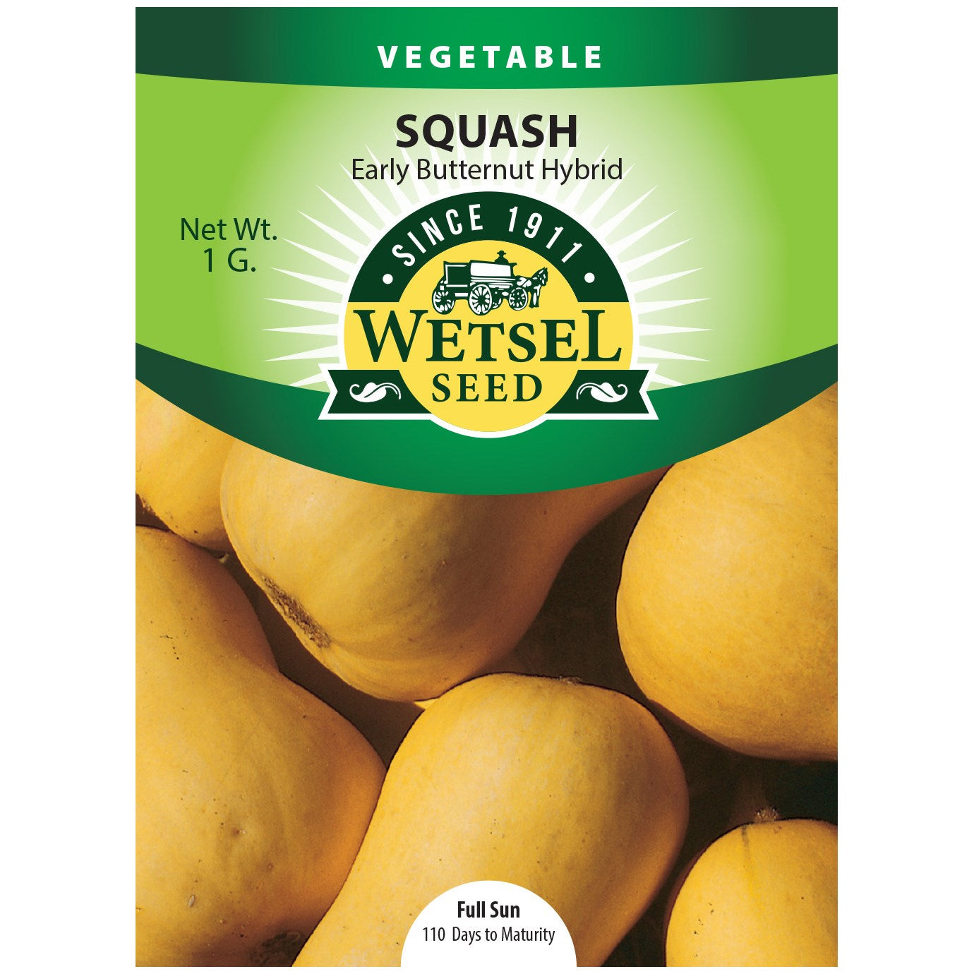 Seeds Squash Early Butternut Hybrid - 1 Gram - #29538