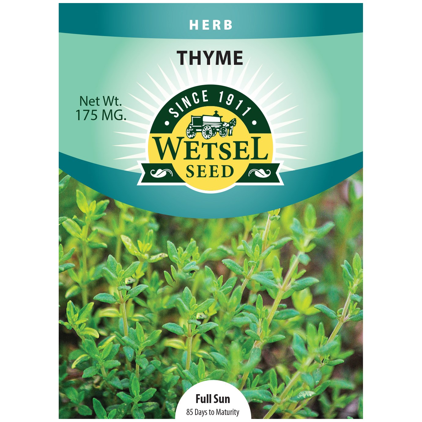 Seeds Thyme Wetsel - 175 Mg - #29929