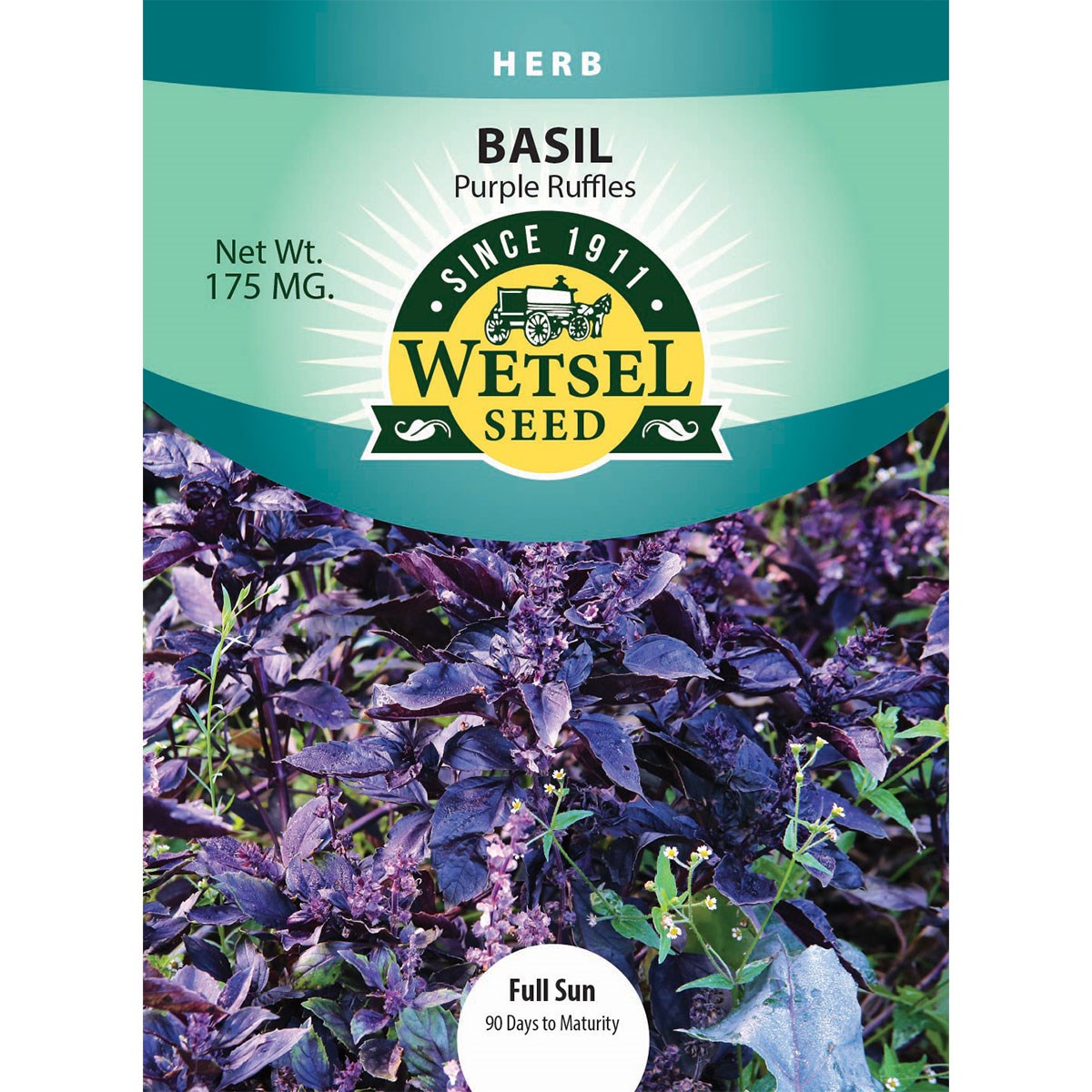 Seeds Basil Purple Ruffles - 175 Mg - #30936
