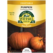 Heirloom Seeds Pumpkin Connecticut Field - 4 Grams