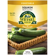 Heirloom Seeds Squash Black Zucchini - 3.5 Grams