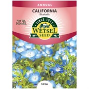 Seeds California Bluebells - 500 MG
