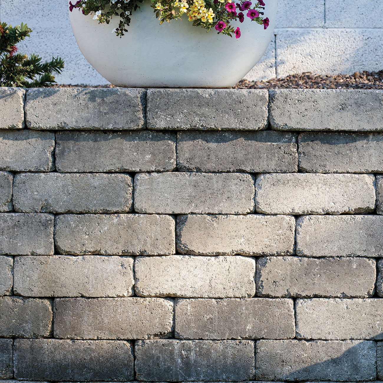 Paver Weston Wall Stone Tumbled Rio - 42 Sq Ft - #25675