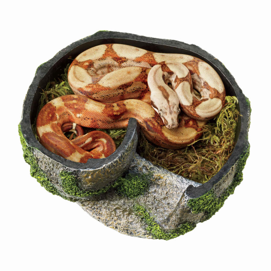 Rock Lair - Small - #26930