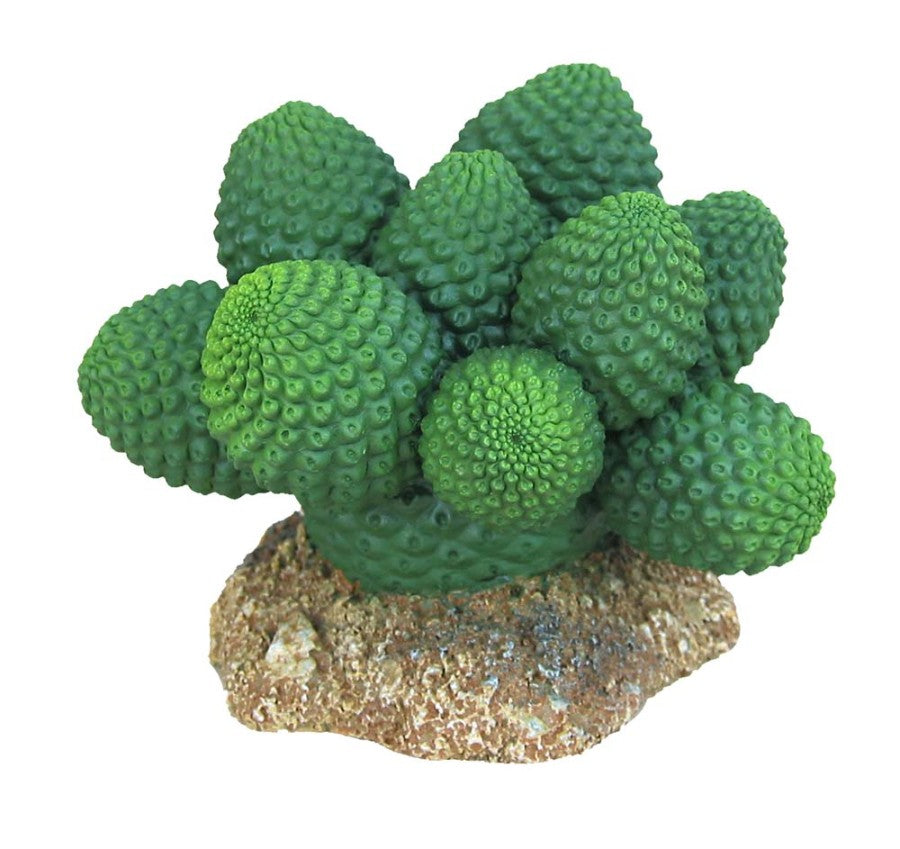 Pointed Sonoran Cactus Terrarium Ornament - #33085
