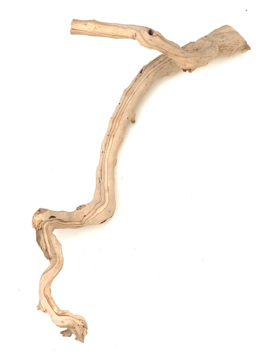 Grapevine Sublime Decor - Extra Large - #31115