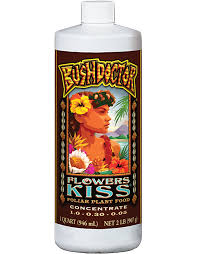 Flowers Kiss Bushdoctor Plant Food - 1 Pint - #16407