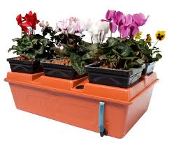 System Emily's Garden Hydrofarm - 16"x24"x6" - #5809