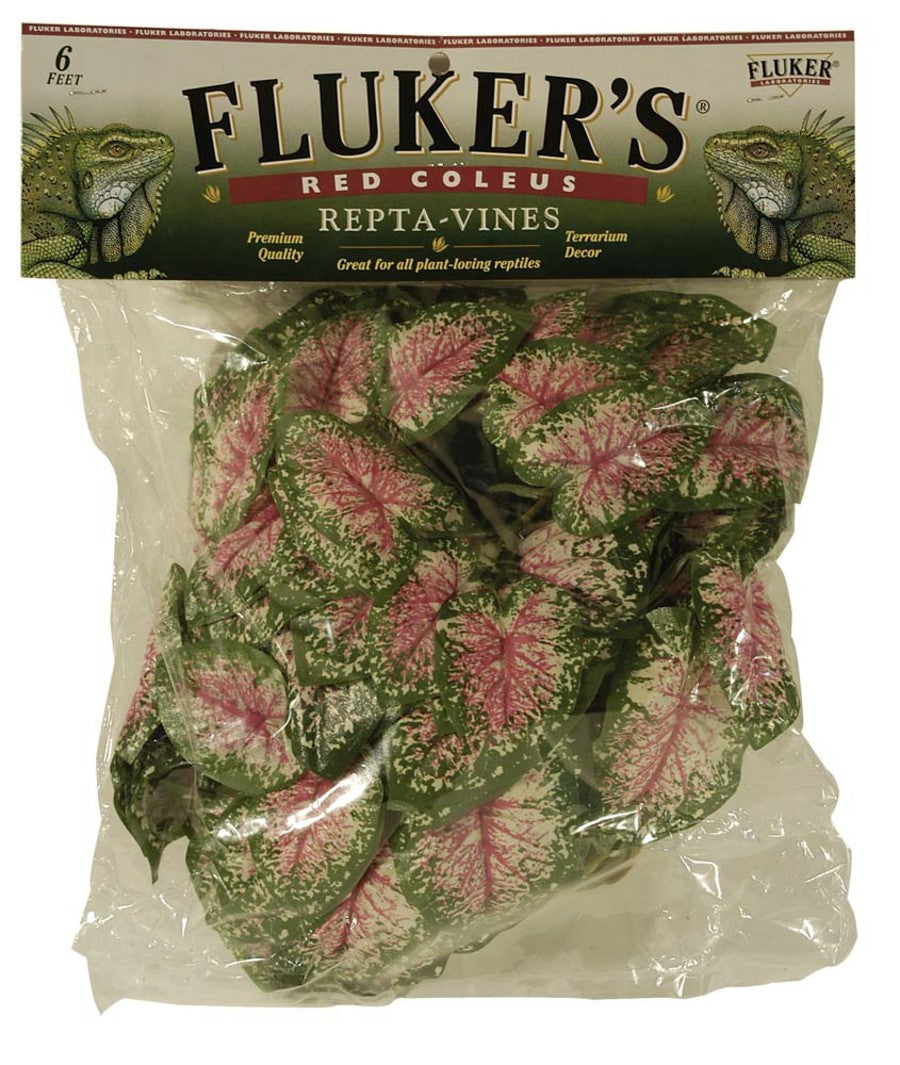Fluker's Repta-Vines Coleus - Red - 6 ft - #26751