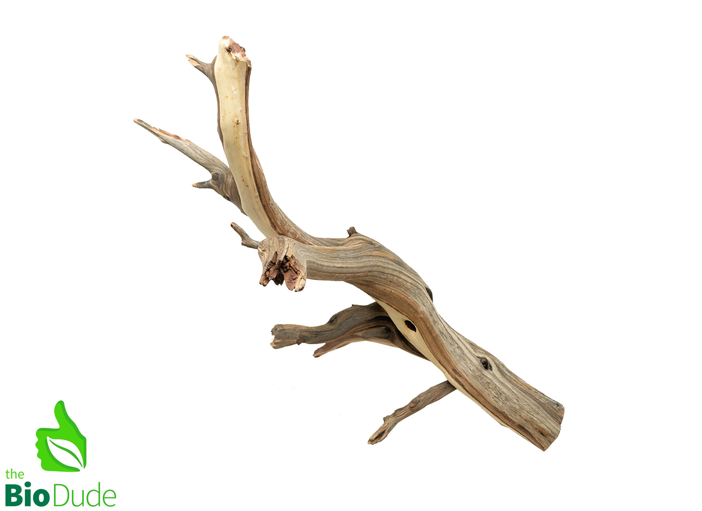 Ghostwood Manzanita Branch Large - 17"-20" - #32022