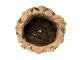 Josh's Frogs Virgin Cork Planter
