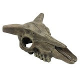 Skulls & Bones Deer - #27204