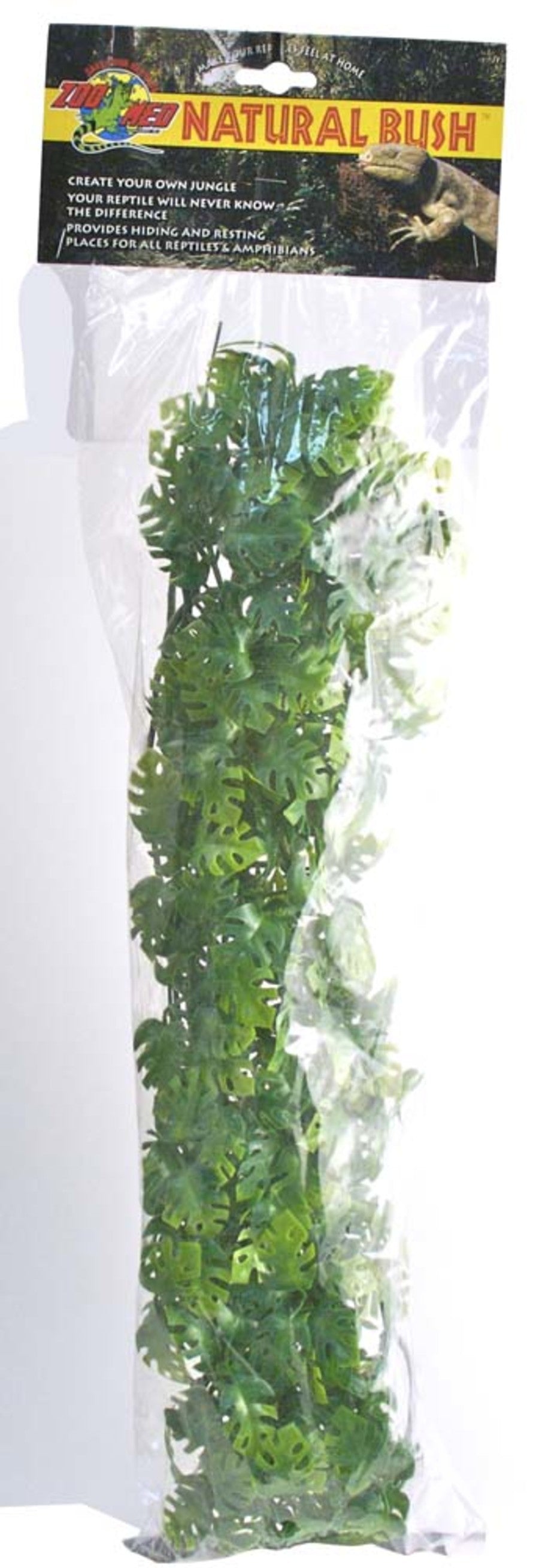 Amazonian Phyllo - Large