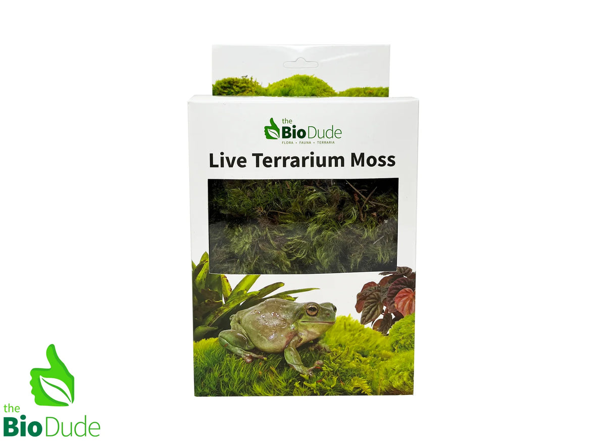 Pillow Moss Live Bio Dude - #30621