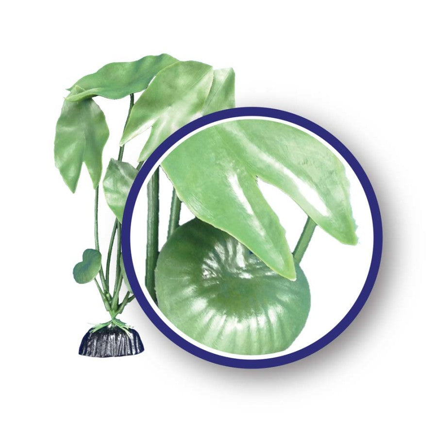 Plant Green Tiger Lotus - 12" - Weco - #32754