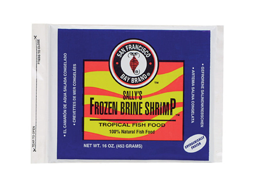 San Francisco Bay Brand Brine Shrimp Frozen - 16 oz