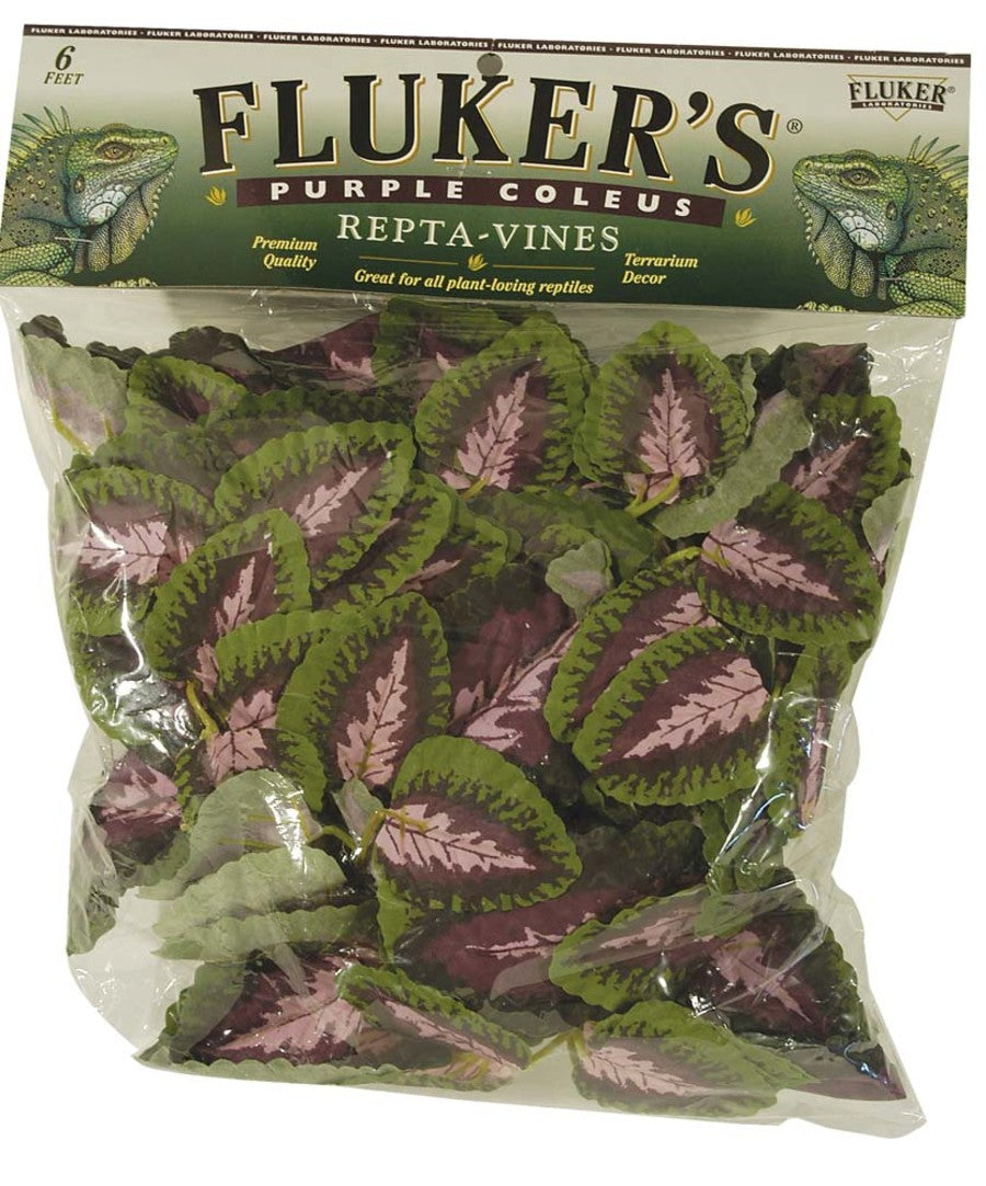 Fluker's Repta-Vines Coleus - Purple - 6 Ft - #26494
