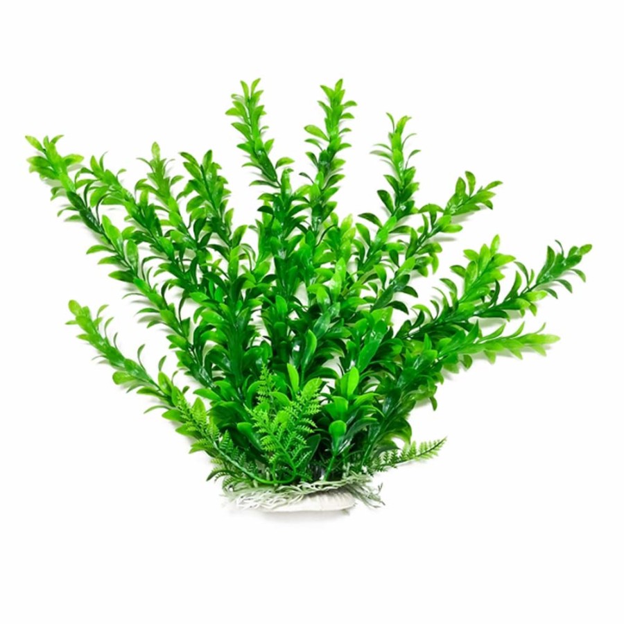 Aquarium Plant Anacharis Green - 6" - #26883