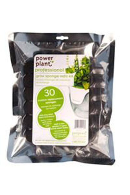 Power Plant Pro Sponge Refill - #10205