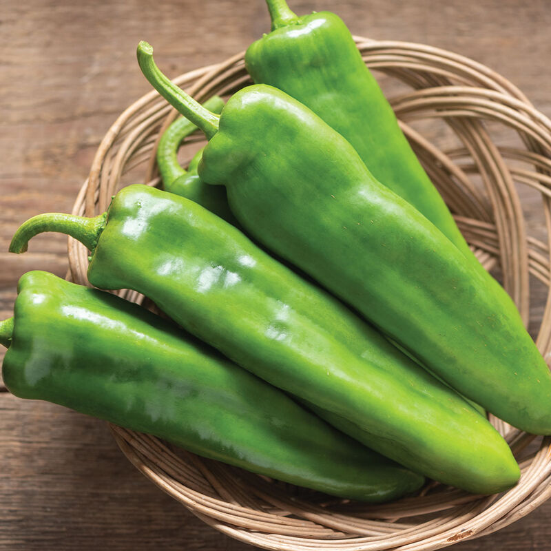 Local Peppers - #31147