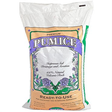 Pumice - 1 CF - #5172