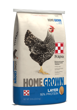 Chicken Feed Layer Pellets 16% Home Grown - Country Acres - 50 Lbs - #31361