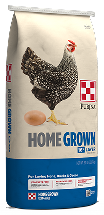 Chicken Feed Layer Pellets 16% Home Grown - Country Acres - 50 Lbs - #31361