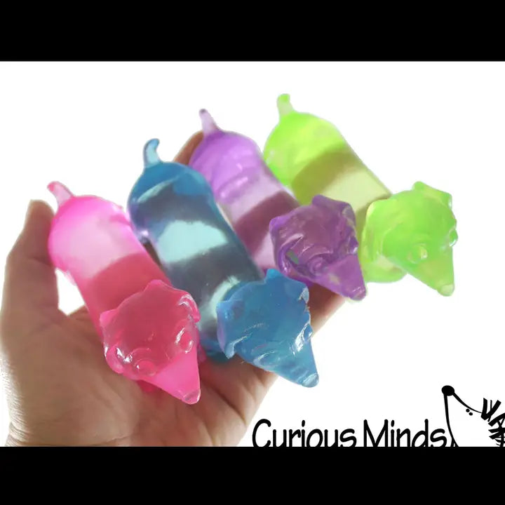 Sugar Dachshund Dog Squishy Toy